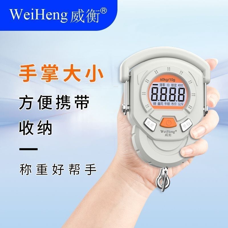 Portable Electronic Scale Prec - đánh giá và giá Fishing Hook